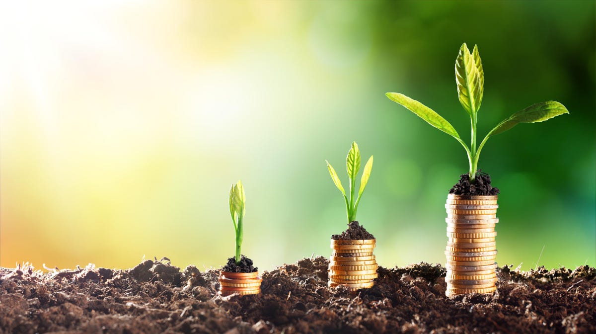 Investment life insurance programs in Cyprus