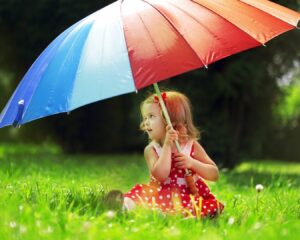 Life insurance: main types and key aspects