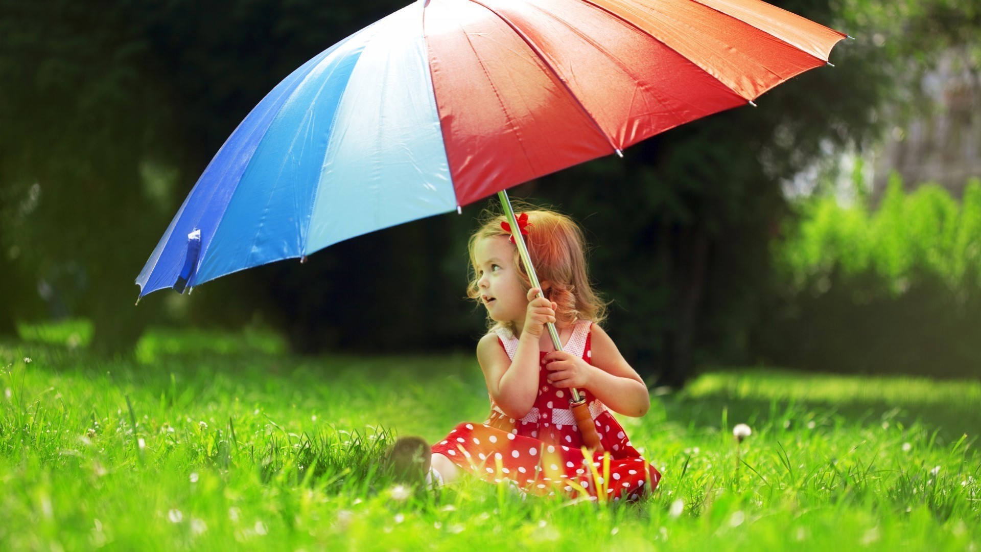 Life insurance: main types and key aspects