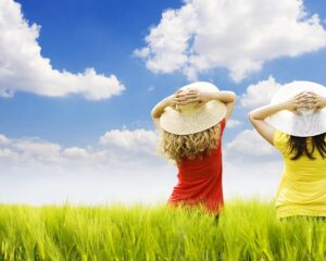 How Do Life Insurance Companies Make Money? A Comprehensive Guide To Life Insurance