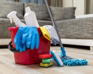 House cleaning insurance in 2025. What is house cleaning insurance?
