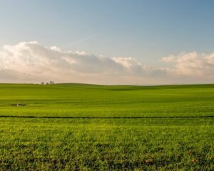 Vacant land insurance in 2025. A complete guide.